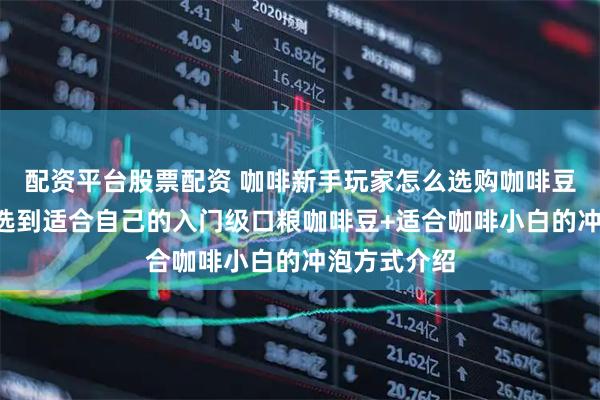 配资平台股票配资 咖啡新手玩家怎么选购咖啡豆？4招快速选到适合自己的入门级口粮咖啡豆+适合咖啡小白的冲泡方式介绍